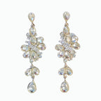 Elegant and sophisticated earrings, niche Korean-style dress unique ear accessories, 2026 New Year earrings